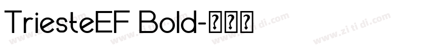 TriesteEF Bold字体转换